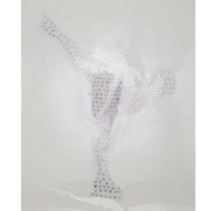 Strass Patinage 4